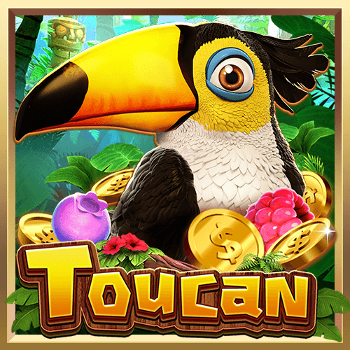 Toucan Mania